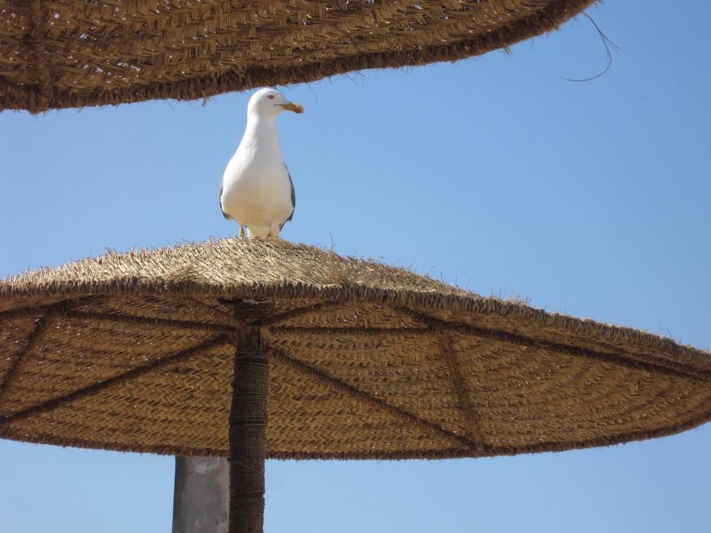 Hotel Riad Ben Atar Essaouira Ngoại thất bức ảnh